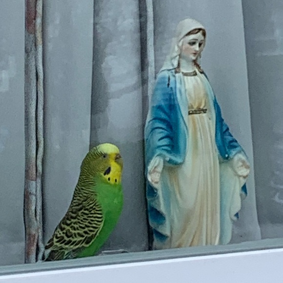 Meet your Posher, Cyndy Elizabeth - Picture 3 of 10